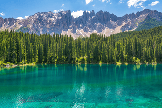 Lakes Surrounded By Trees jigsaw puzzle