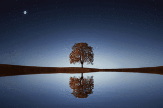 A lake jigsaw puzzle