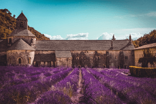 Medieval Castle with Lavender Fields jigsaw puzzle