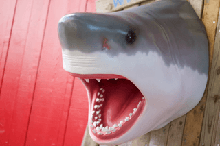 Jaws jigsaw puzzle
