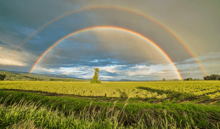 Double rainbow jigsaw puzzle