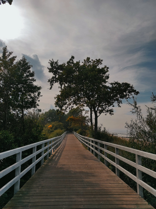 Neat Bridge jigsaw puzzle