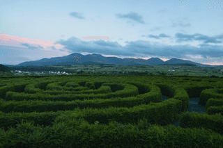 Grass maze jigsaw puzzle
