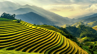 Green landscape jigsaw puzzle