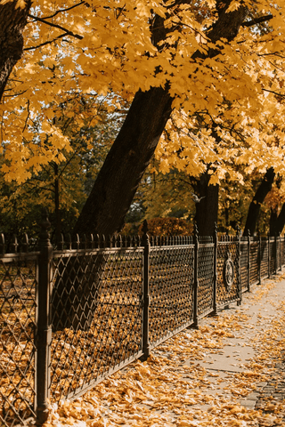 Autumn jigsaw puzzle
