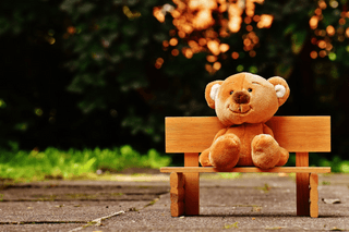 Teddy bear jigsaw puzzle