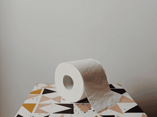 Toilet paper jigsaw puzzle