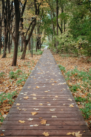Autumn bridge jigsaw puzzle