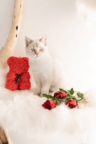 Valentines Cat jigsaw puzzle
