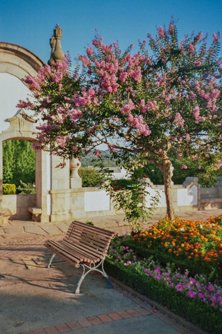 Colorful Garden jigsaw puzzle