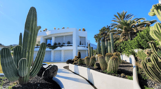 Cactus Garden jigsaw puzzle
