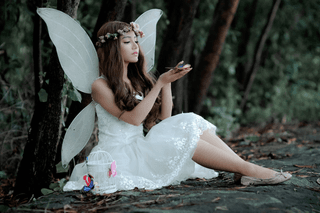 Fairy jigsaw puzzle