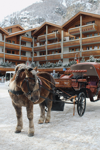 Brown festive horse jigsaw puzzle