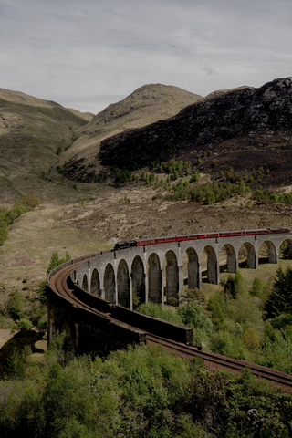 Train in nowhere jigsaw puzzle