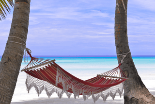 Palm Tree Hammock jigsaw puzzle