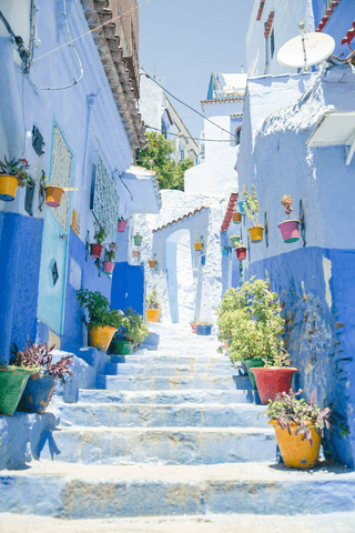 Flower Steps jigsaw puzzle