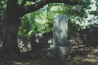 Scary Graveyard jigsaw puzzle