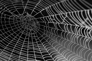 Cobweb jigsaw puzzle