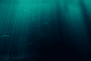 Deep underwater jigsaw puzzle