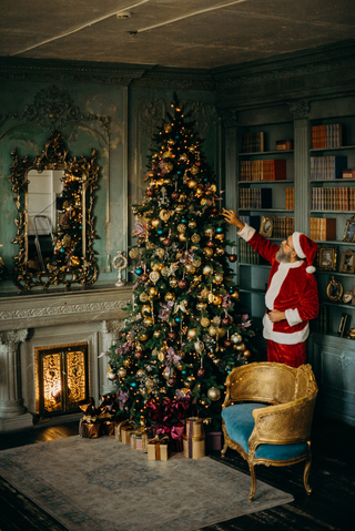 Christmas tree        jigsaw puzzle