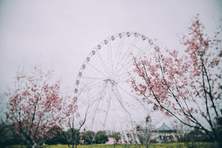 Ferris wheel jigsaw puzzle