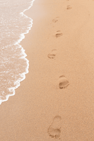 seashore jigsaw puzzle