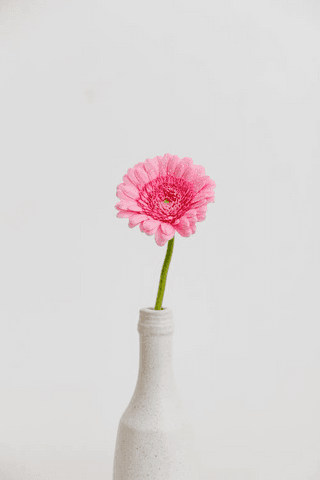 Flower jigsaw puzzle