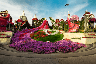 Dubai Miracle Garden jigsaw puzzle