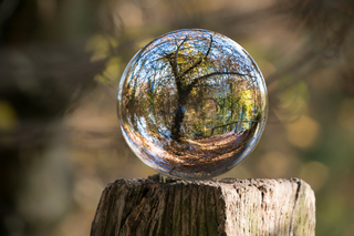 Glass tree jigsaw puzzle