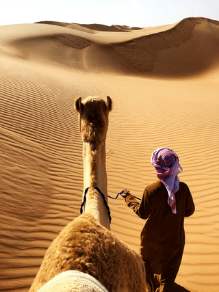 Arabian Desert jigsaw puzzle
