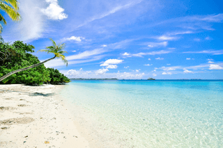 Tropical Beach jigsaw puzzle