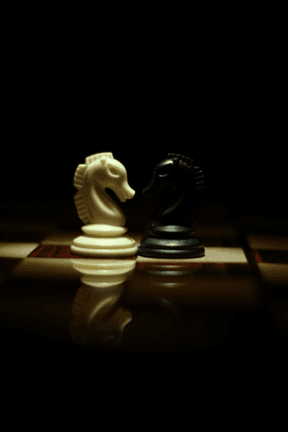 Chess piece jigsaw puzzle