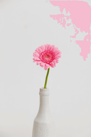 Pink flower jigsaw puzzle