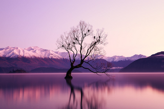 Purple lake jigsaw puzzle