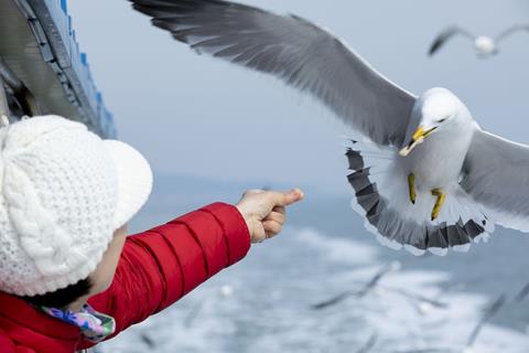 Feeding The Seagull jigsaw puzzle
