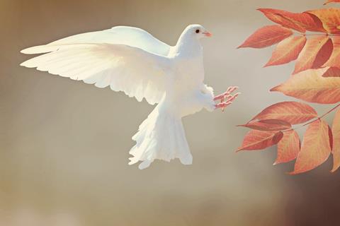 White Dove jigsaw puzzle
