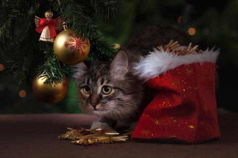 Sneaky Cat jigsaw puzzle
