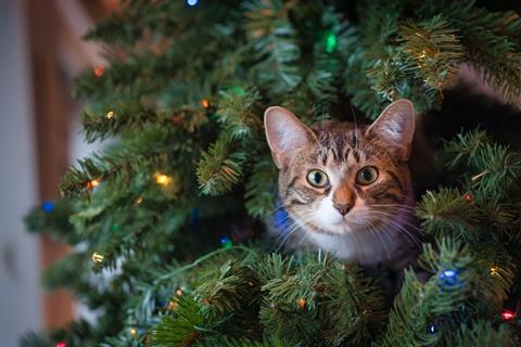 Hiding From Santa jigsaw puzzle