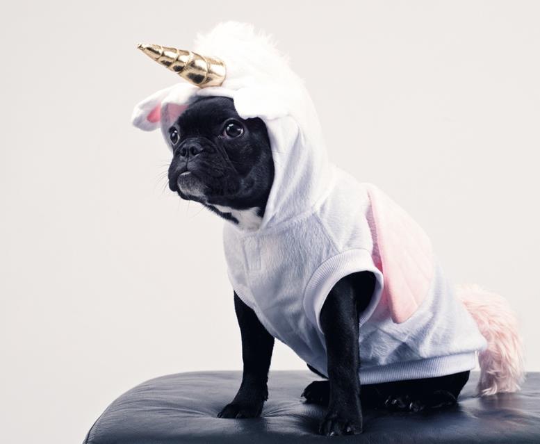 Dognicorn jigsaw puzzle