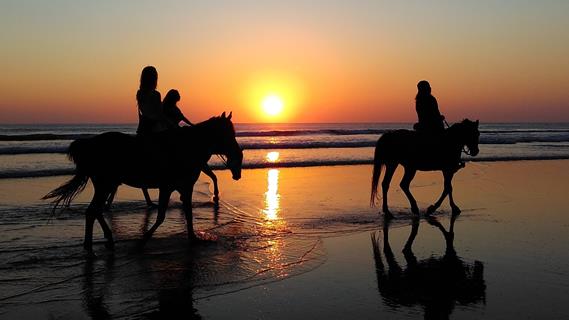 Horse Riding On The Beach jigsaw puzzle
