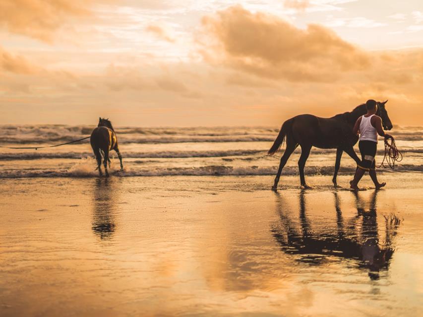 Horses Riding On The Beach jigsaw puzzle