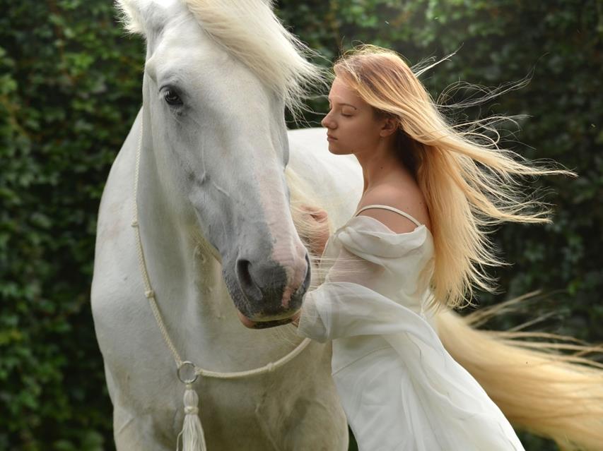 Girl With Horse jigsaw puzzle