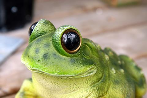 Big Eyed Frog jigsaw puzzle