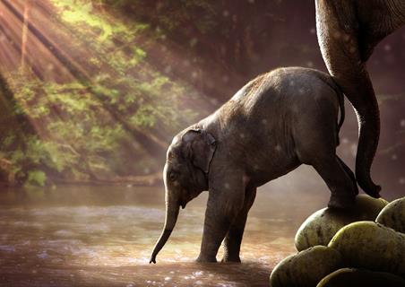 Baby Elephant jigsaw puzzle