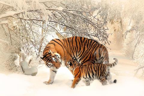 Mom And Baby Tiger jigsaw puzzle
