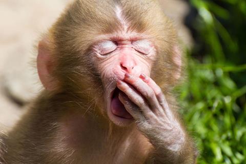 Sleepy Monkey jigsaw puzzle