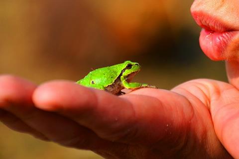 Tiny Frog  jigsaw puzzle
