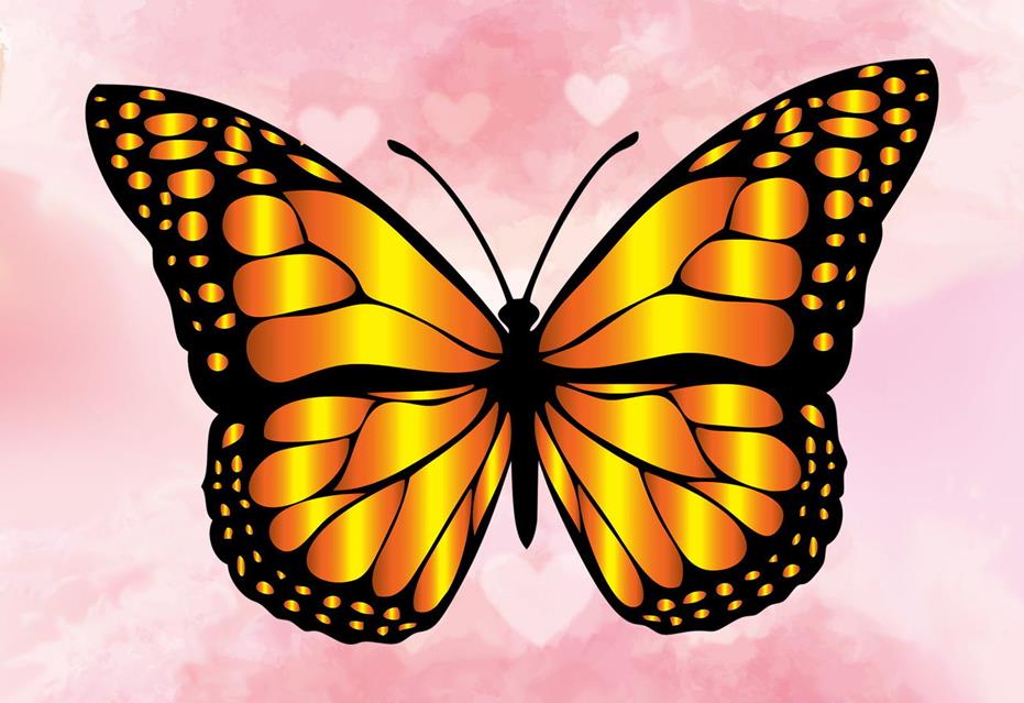Orange Butterfly jigsaw puzzle