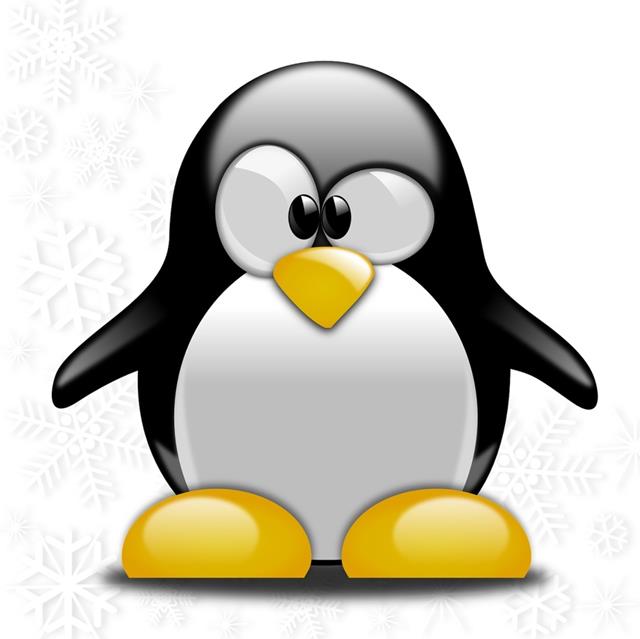 Wacky Penguin jigsaw puzzle