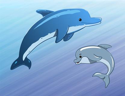 Two Dolphins  jigsaw puzzle